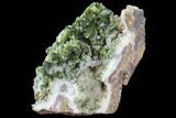 Green Epidote, Quartz and Byssolite Association - Morocco #91211-1